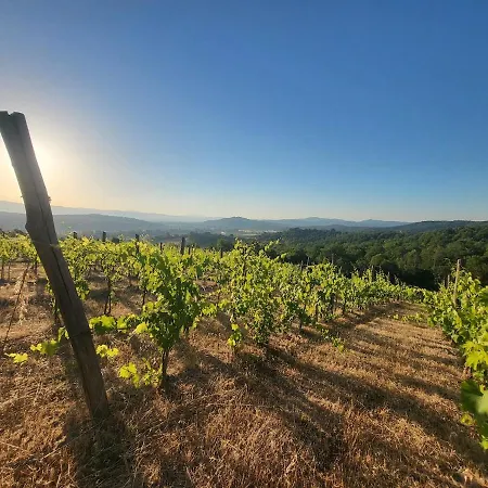Little Corticellitta In Tuscany Semesterbostad *